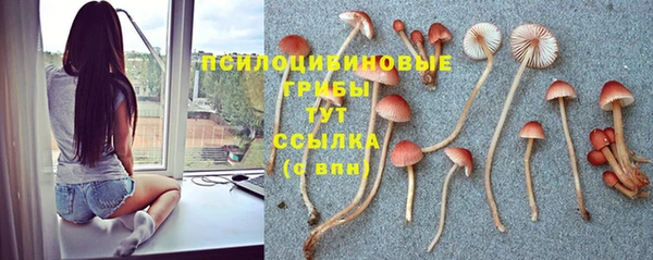 кокаин премиум Беломорск