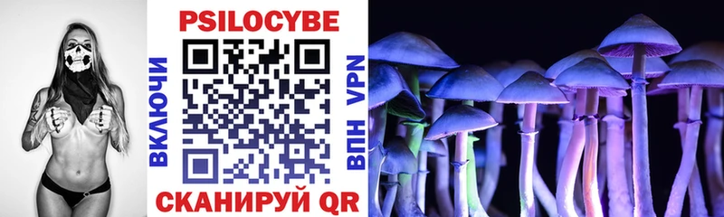 цены   blacksprut рабочий сайт  Псилоцибиновые грибы Psilocybe  Вуктыл 